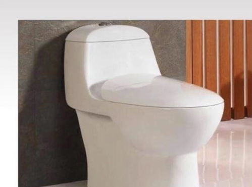 十年衛浴銷售專家揭秘 選對馬桶，潔凈廁所長久無憂